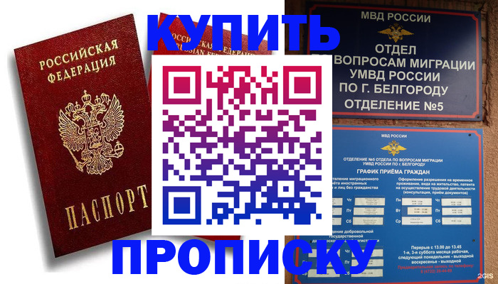 прописка иностранных граждан в Камчатском крае